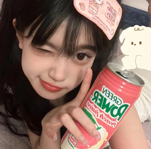 真假王爷