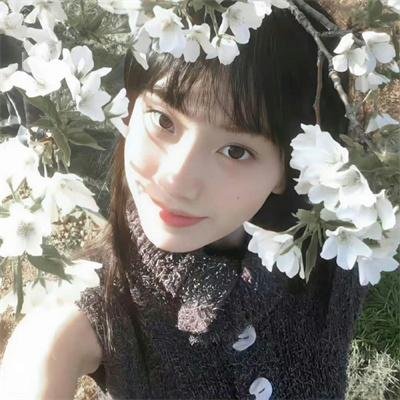 野狼历险记